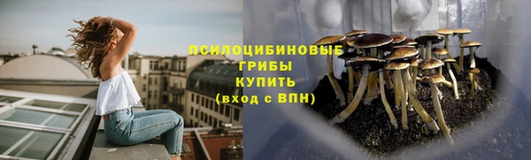 ALPHA PVP Алексин