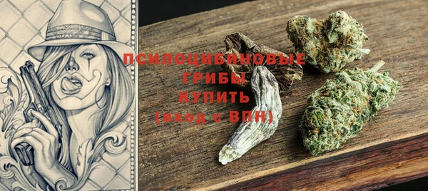 эйфоретик Алзамай