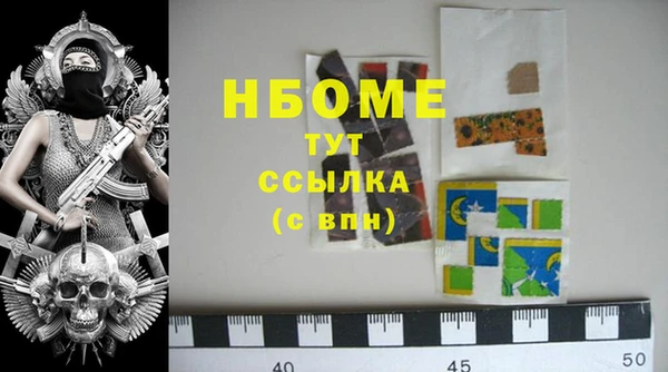 гидра Абаза