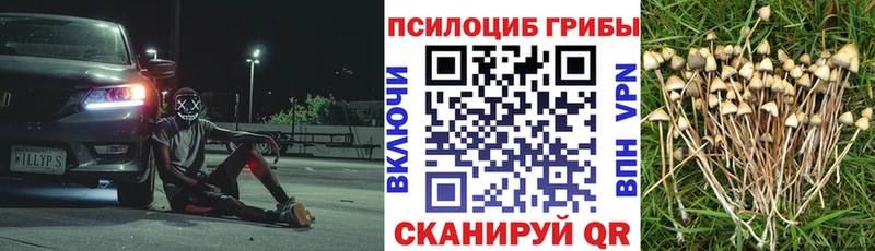 Галлюциногенные грибы Magic Shrooms наркотики гидра маркетплейс Талица